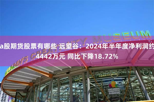 a股期货股票有哪些 远望谷：2024年半年度净利润约4442万元 同比下降18.72%