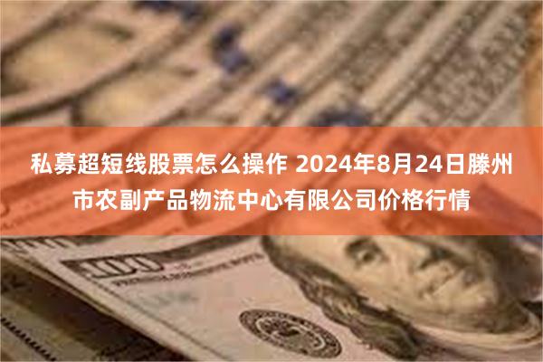 私募超短线股票怎么操作 2024年8月24日滕州市农副产品物流中心有限公司价格行情