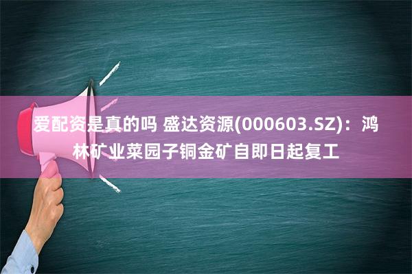 爱配资是真的吗 盛达资源(000603.SZ)：鸿林矿业菜园子铜金矿自即日起复工