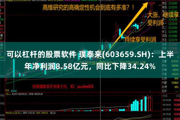 可以杠杆的股票软件 璞泰来(603659.SH)：上半年净利润8.58亿元，同比下降34.24%