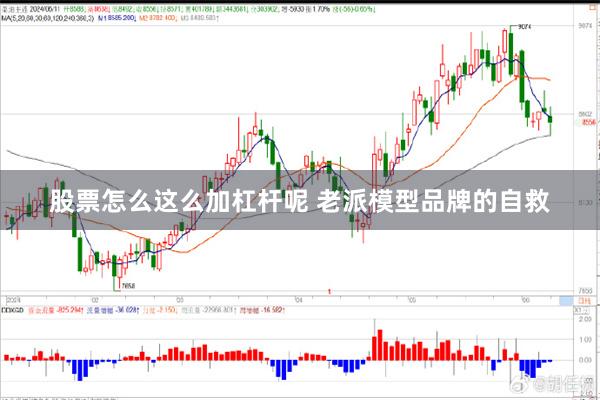 股票怎么这么加杠杆呢 老派模型品牌的自救