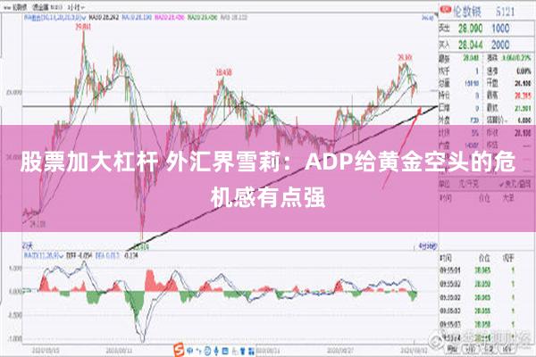 股票加大杠杆 外汇界雪莉：ADP给黄金空头的危机感有点强