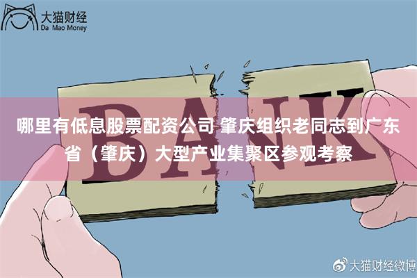 哪里有低息股票配资公司 肇庆组织老同志到广东省（肇庆）大型产业集聚区参观考察