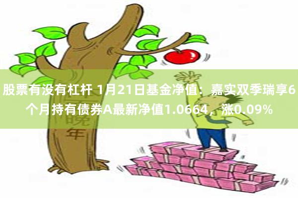 股票有没有杠杆 1月21日基金净值：嘉实双季瑞享6个月持有债券A最新净值1.0664，涨0.09%