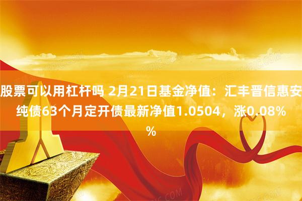 股票可以用杠杆吗 2月21日基金净值：汇丰晋信惠安纯债63个月定开债最新净值1.0504，涨0.08%