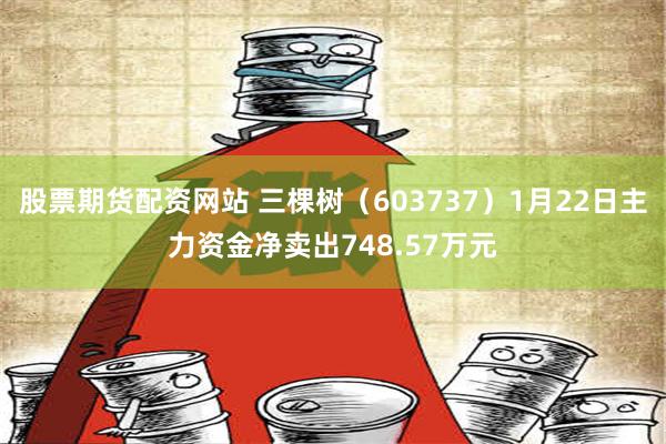 股票期货配资网站 三棵树（603737）1月22日主力资金净卖出748.57万元